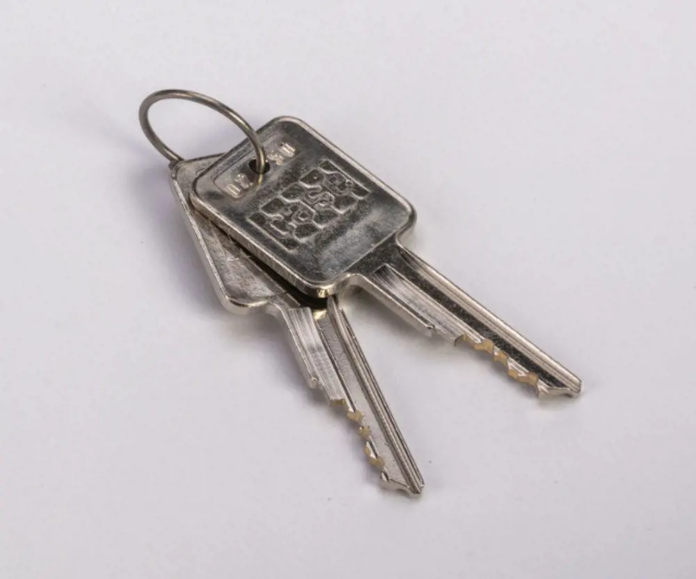 Image 2 for #A77313 SET OF 2 KEYS